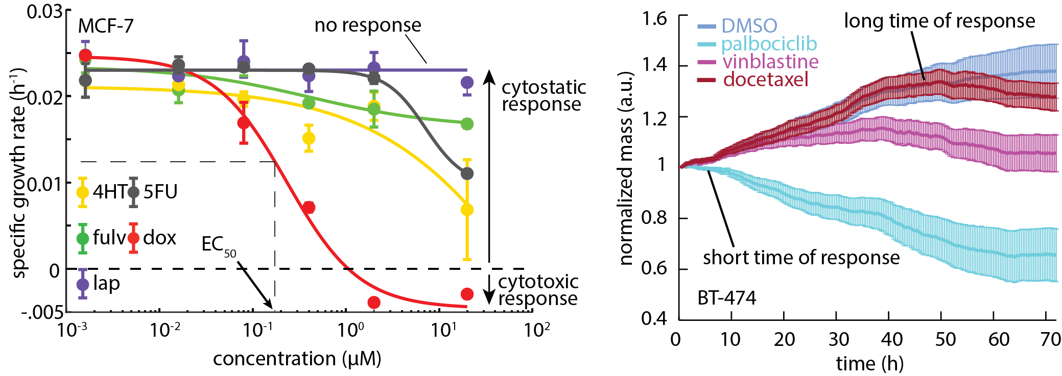 Multimodal QPI