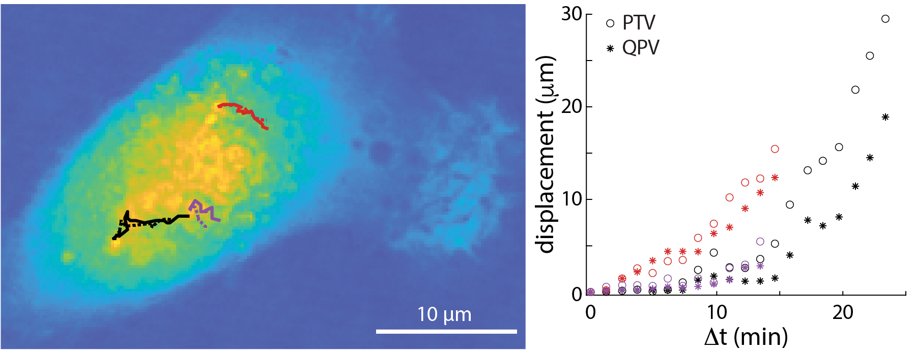 Particle Tracking